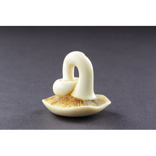 Japanese Carved Ivory Netsuke of Two Fungi the Larger with a Metal Fly Attached to the Cap